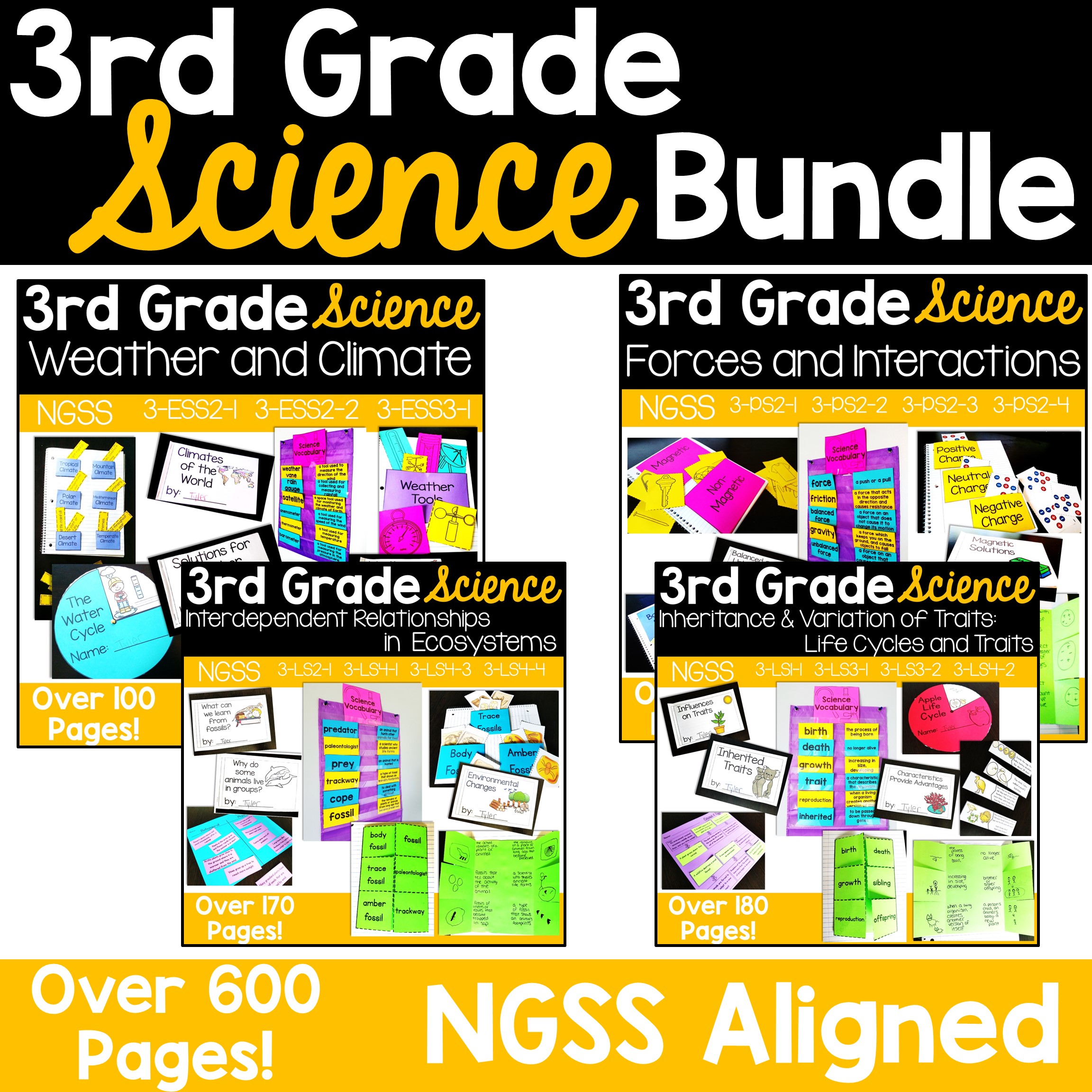 3rd Grade NGSSUnits Bundle 3rd Grade Science Curriculum Thrifty in