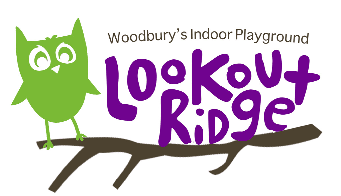 Lookout Ridge Indoor Playground Thrifty Minnesota