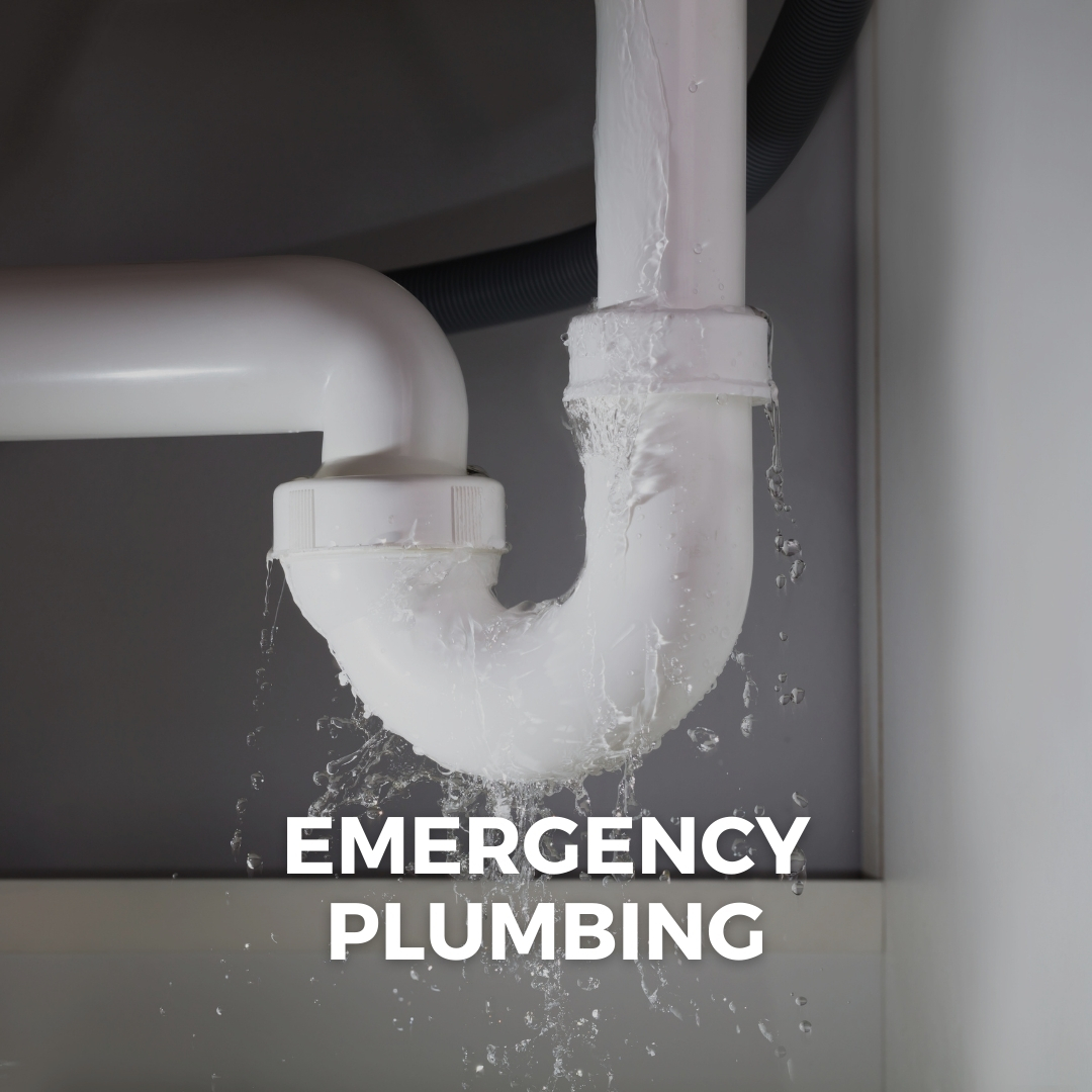 Thrifty Projects Fast, same day service. Top rated Plumbers!