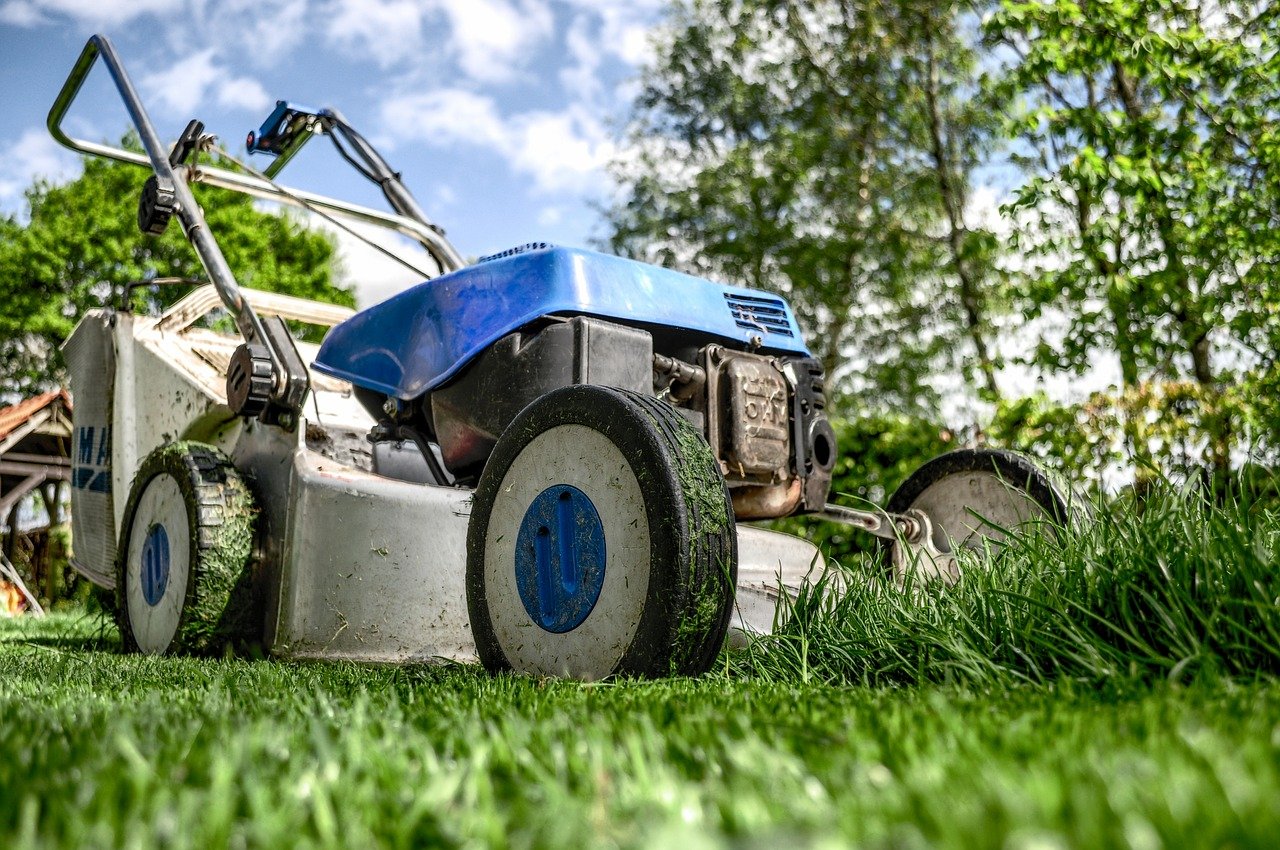 The Cheapest Places to Buy a Lawn Mower Online Thrifty Two