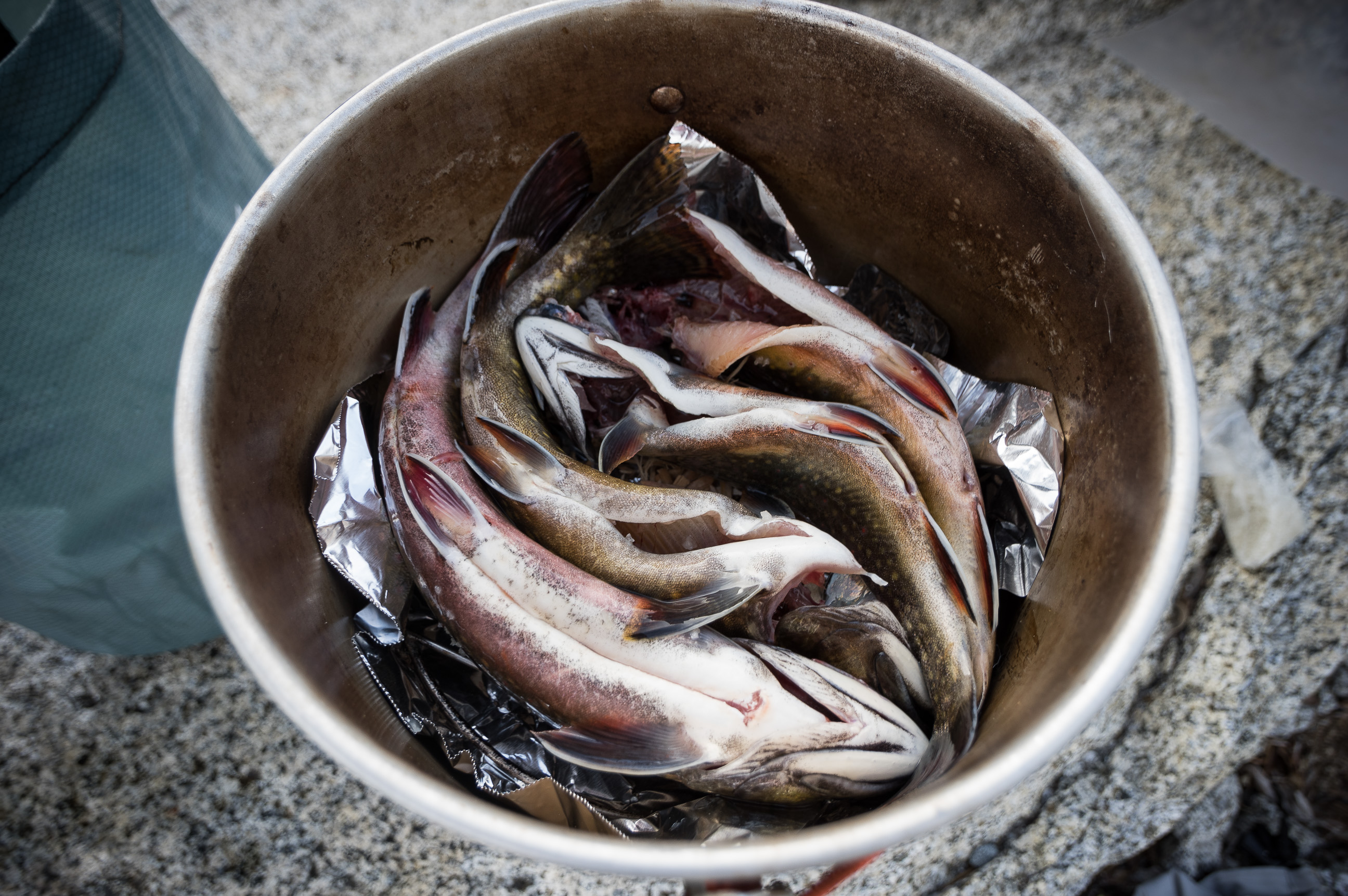 Hot Smoking Fish in the Backcountry Thrinter