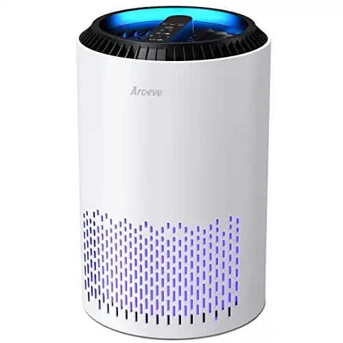 Top Home Air Purifiers For All Budgets Thrissle