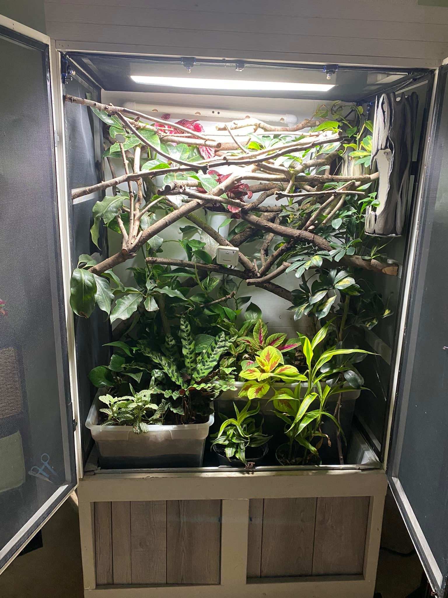 Thrive Ecosystems 24" High Output Single Vivarium Lights