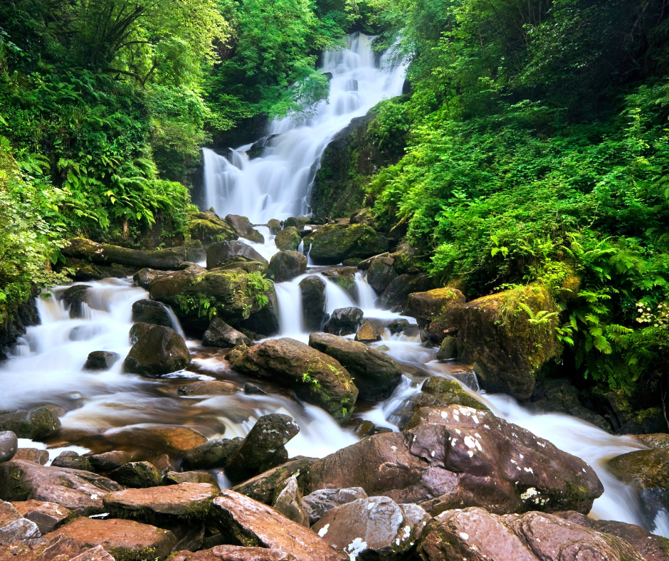 Bike Hire Killarney All You Need To Know With Your Rental