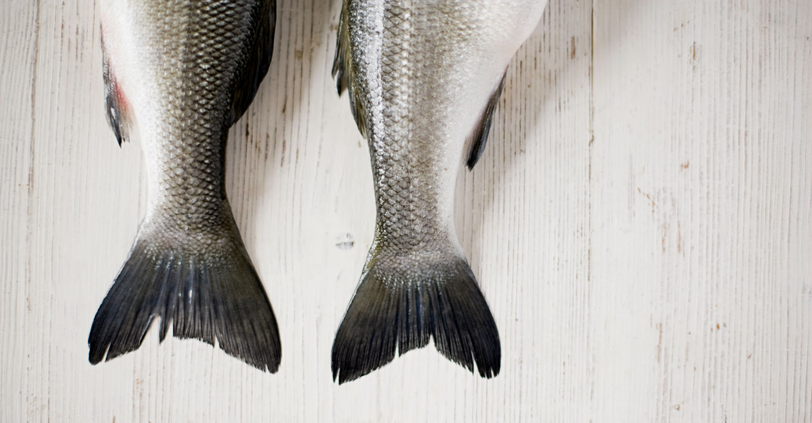 Sustainable Seafood with Chef Virginia Willis Thrive Meetings and Events