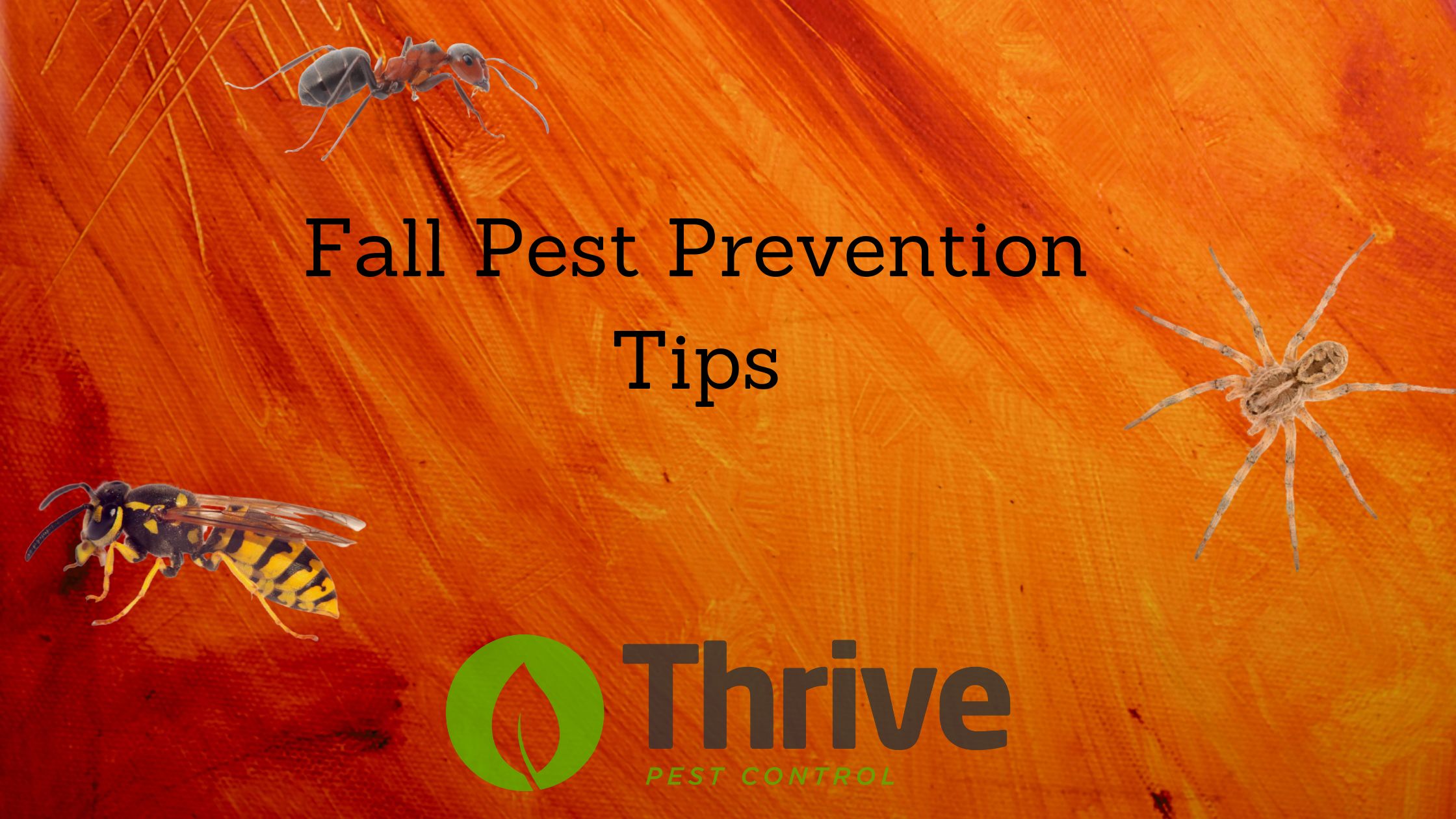 Fall Pest Prevention Tips Thrive Pest Control