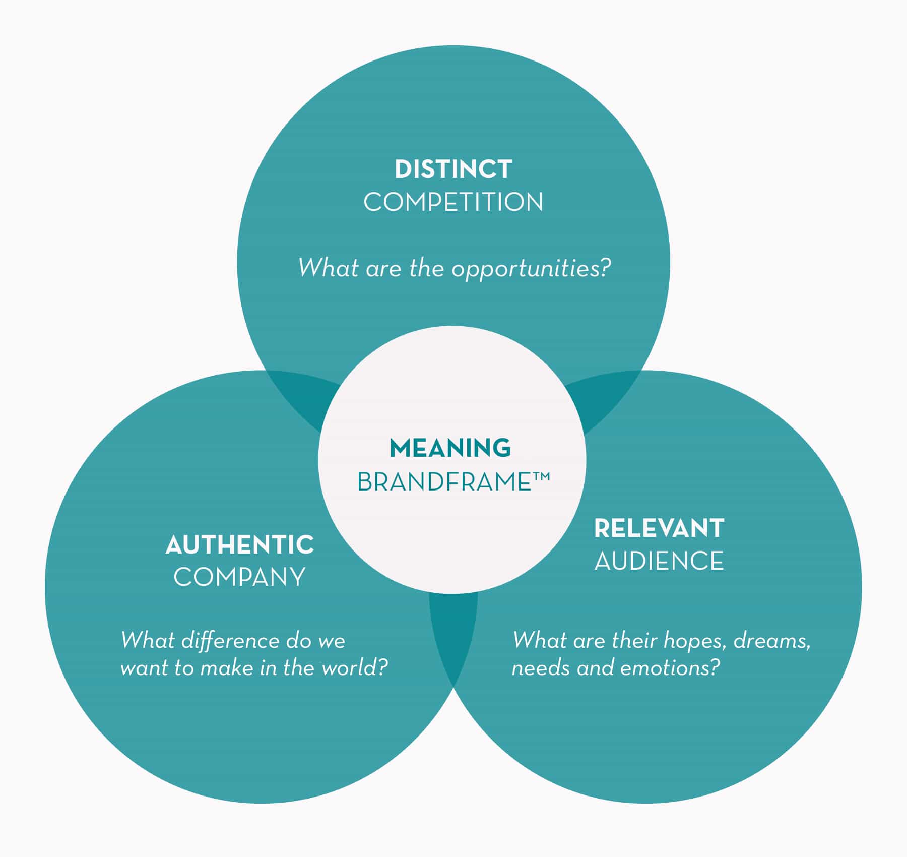 BrandFrame A New Perspective on Creating Authentic Brand Meaning