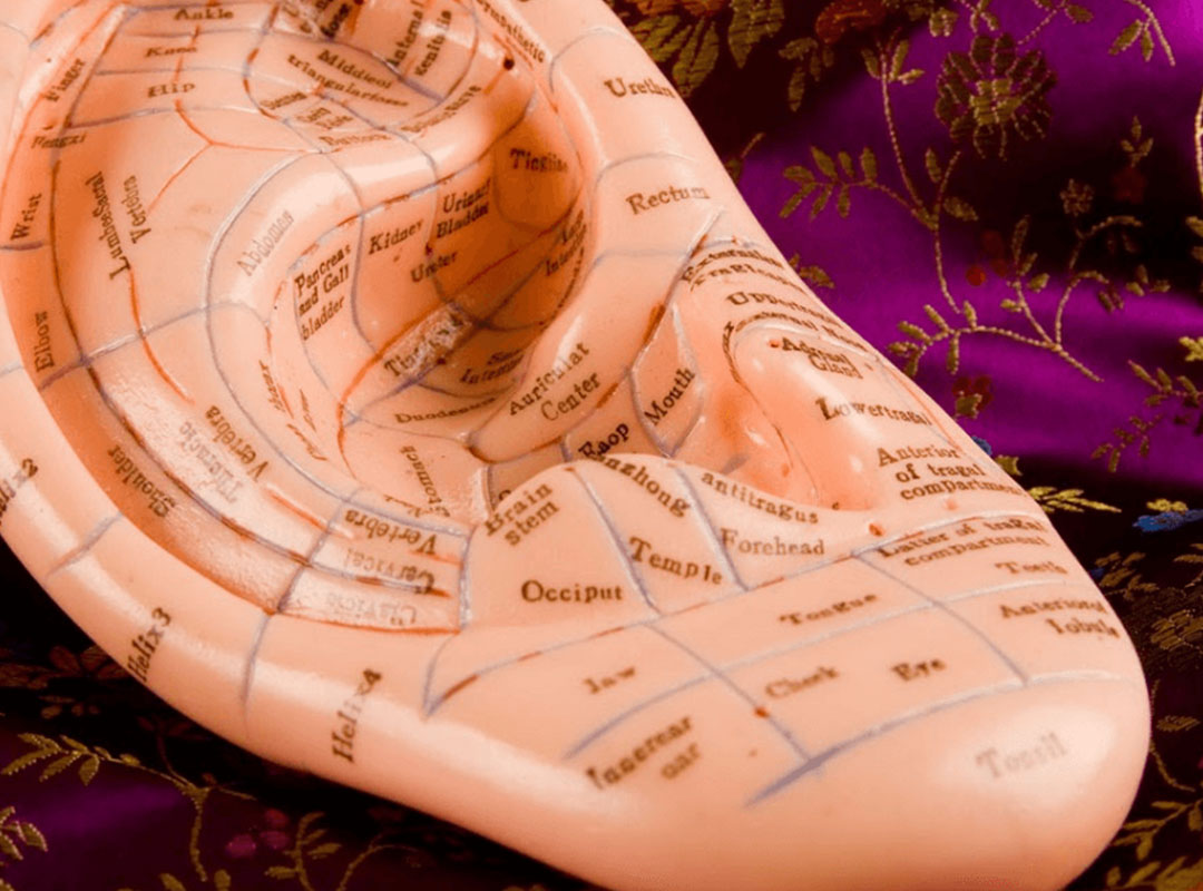 Acupuncture & Chinese Medicine Therapy 🟠 Thrive Virginia Beach