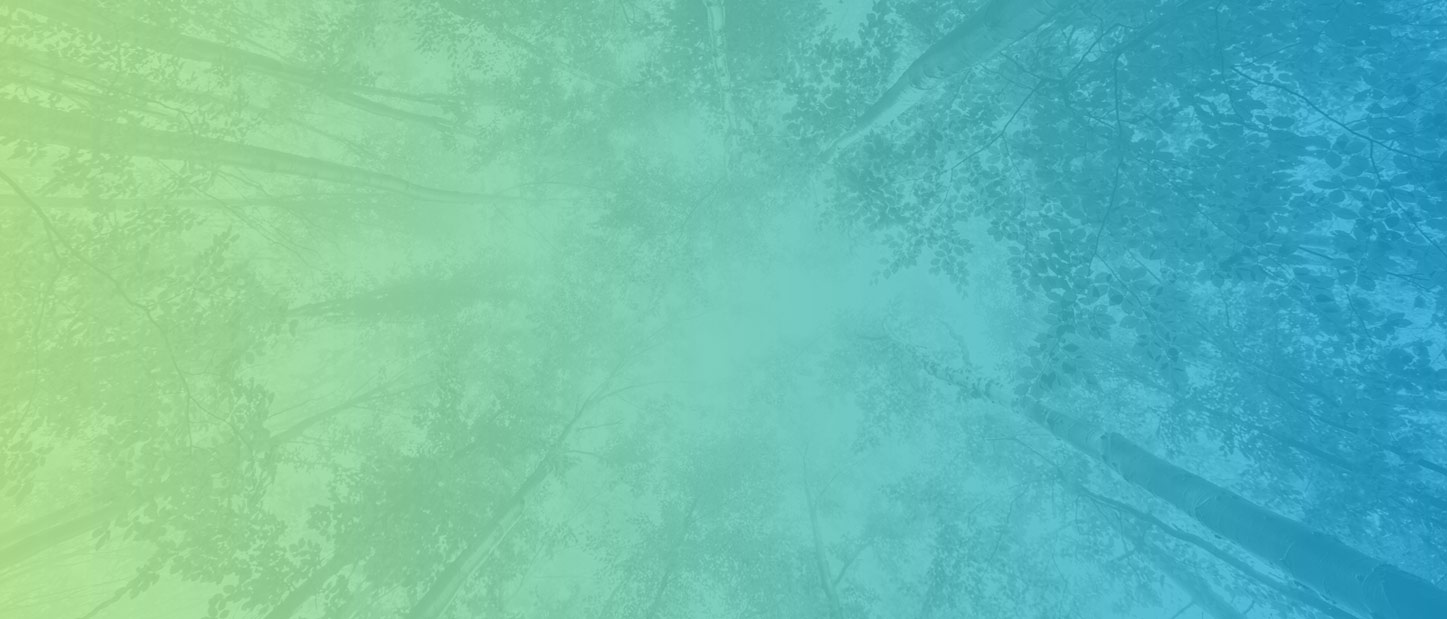 Bras for a Cause A Night of Glamour and Giving Thrivewell