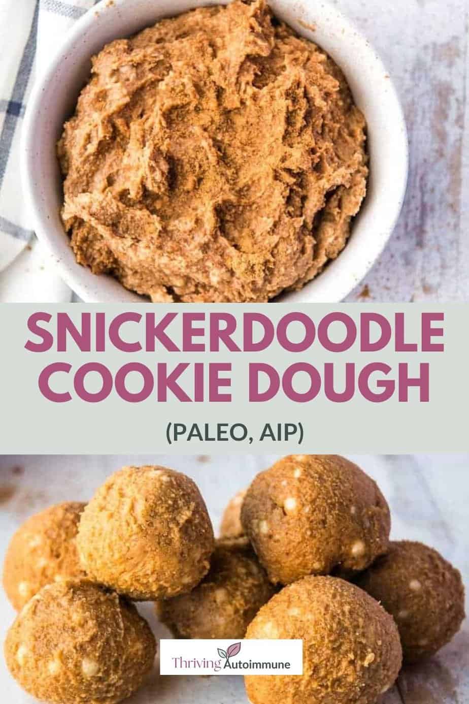 Snickerdoodle Edible Cookie Dough (Paleo, AIP) Thriving on Paleo