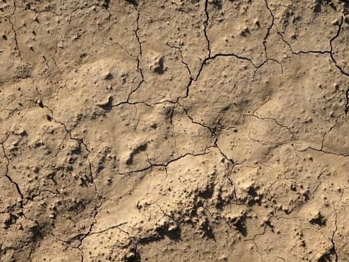 Does Soil Go Bad?