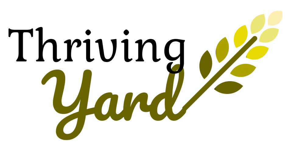 Does EthanolFree Gas Go Bad? Fuel Shelf Life Comparisons Thriving Yard