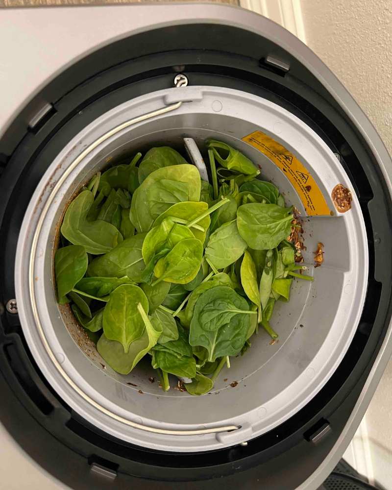Airthereal Electric Kitchen Composter Review Make Compost Indoors