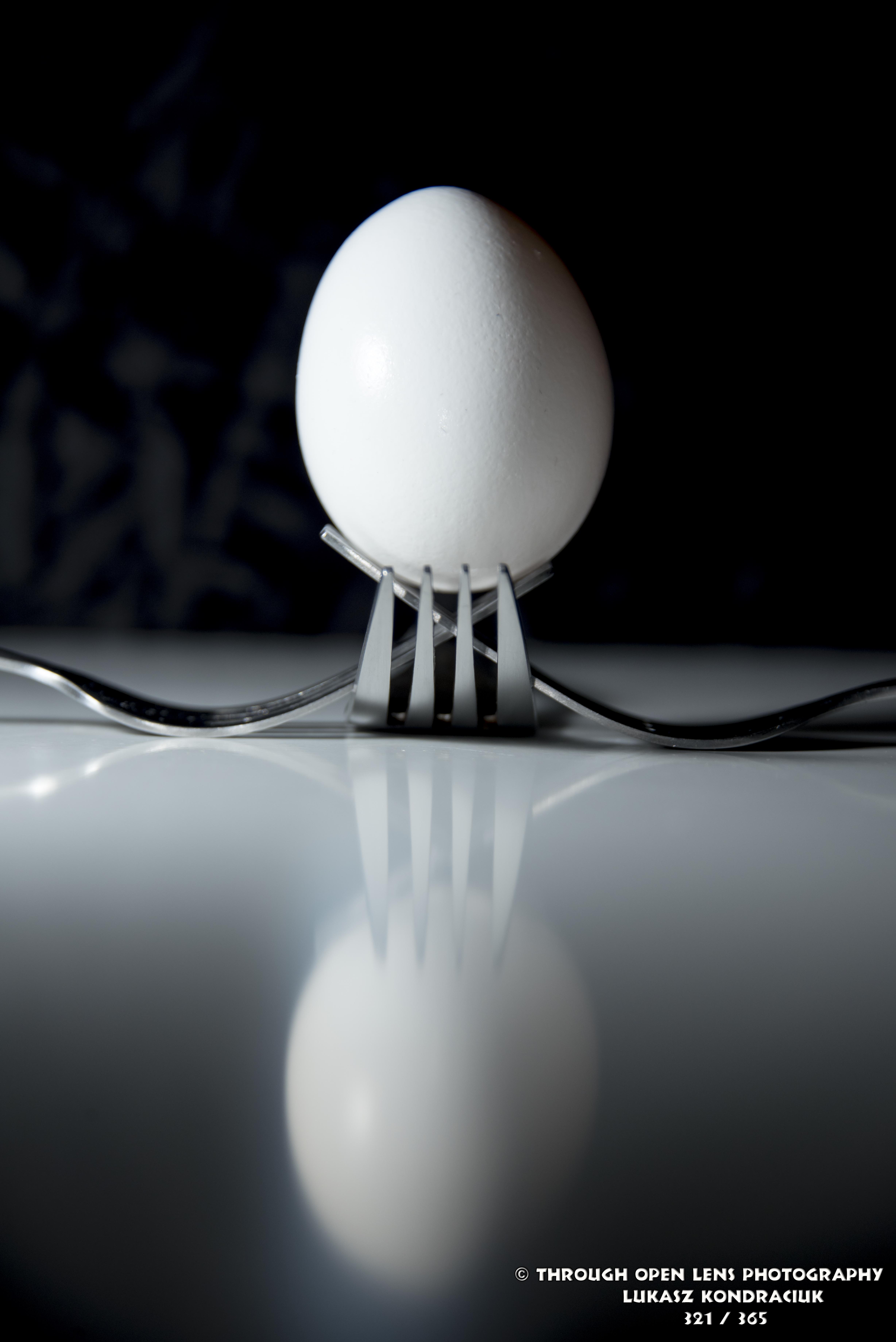 fork photography Through Open Lens