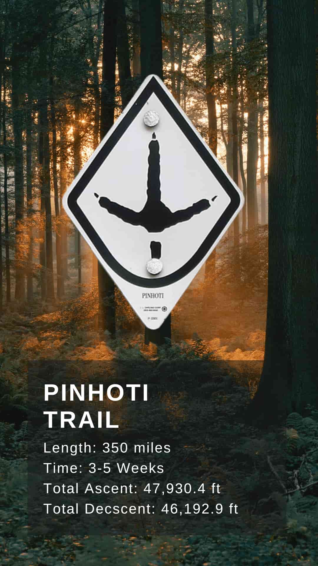 Pinhoti Trail Exploring An Overlooked Sensational Hike
