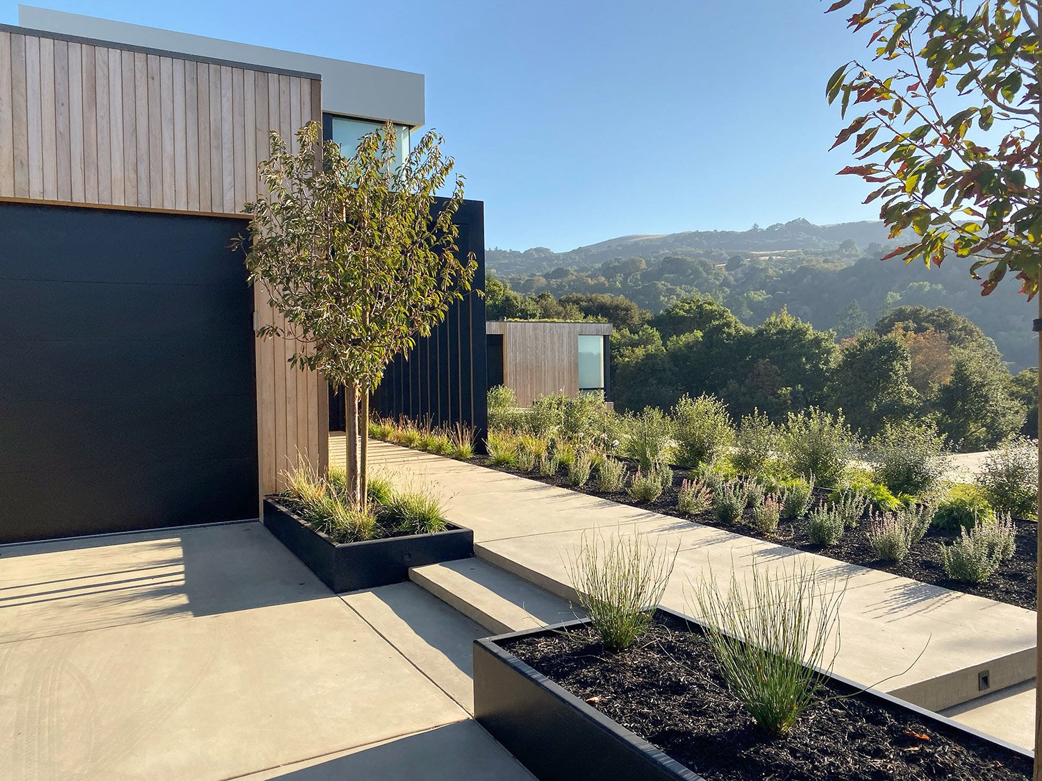 Portola Valley Skyline Thuilot Associates