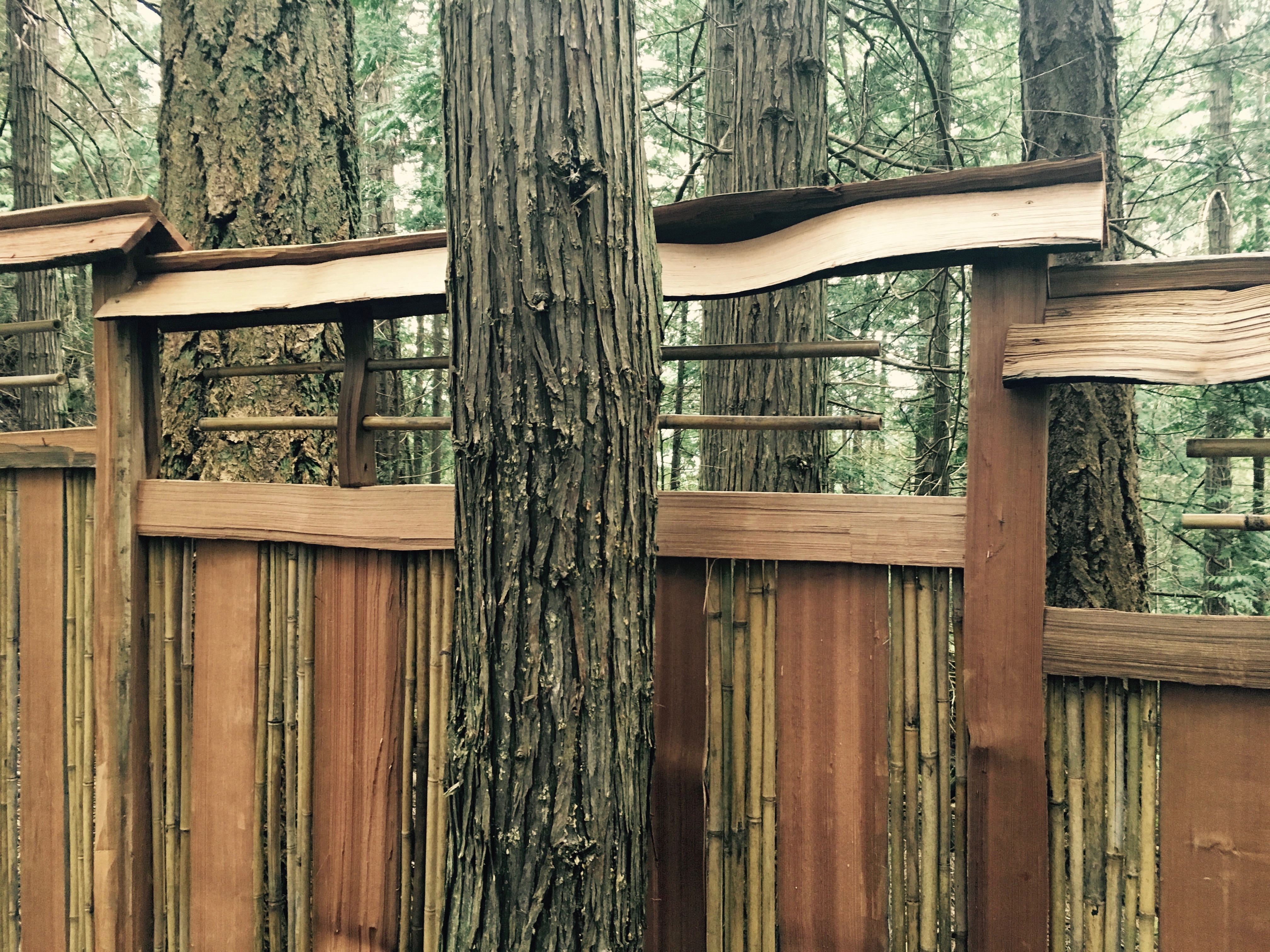 Japanese Fence Bamboo Garden Project Thuja Wood Art