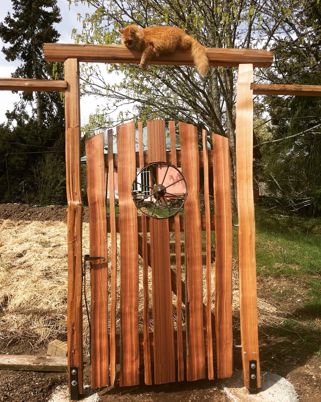 Hope Bay Driveway and Garden Gates Thuja Wood Art Reclaimed Cedar