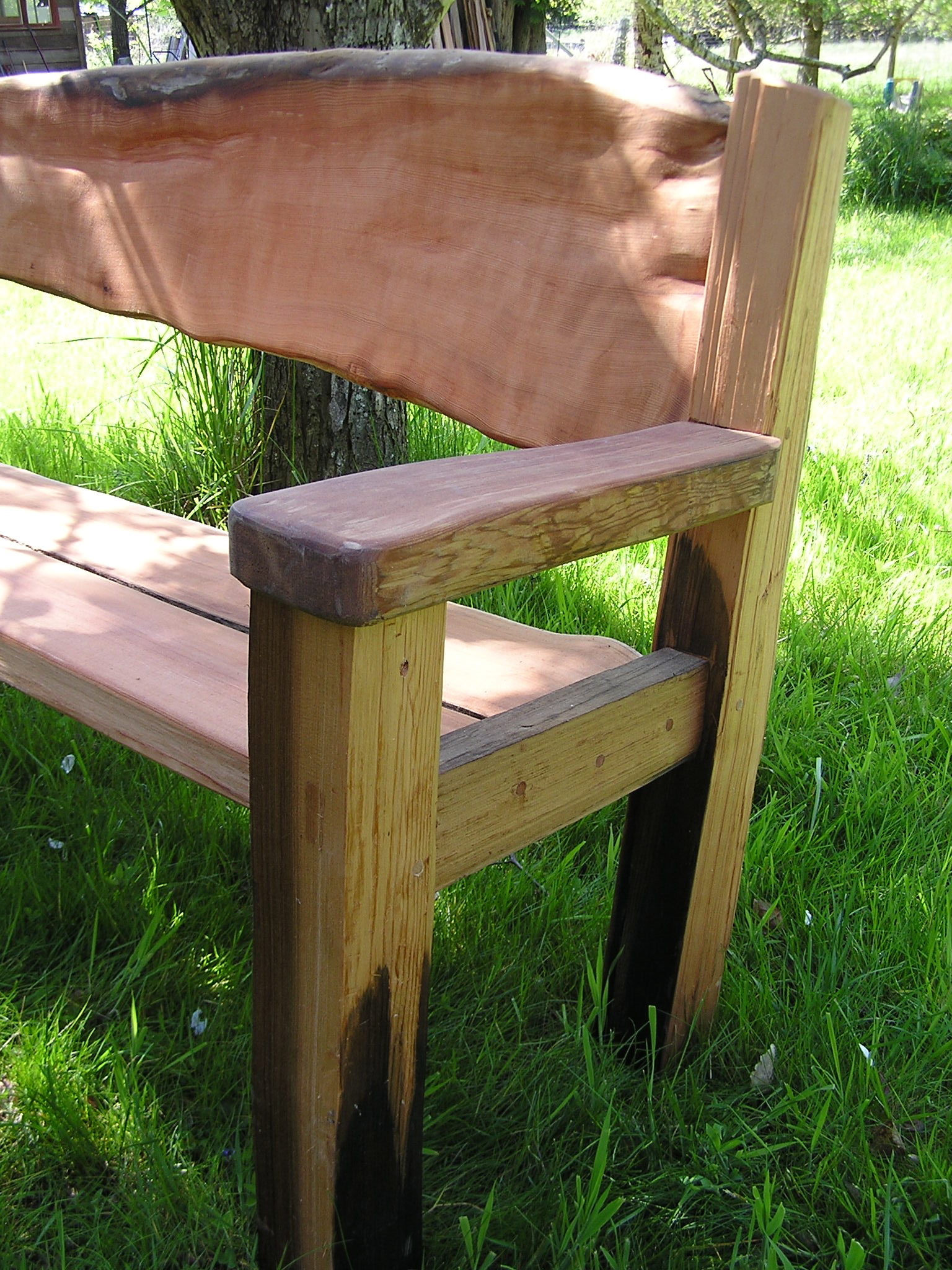 Driftwood Bench Thuja Wood Art Reclaimed Cedar Furniture Wood Art