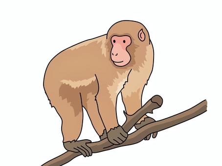 フリーイラスト] 9種類のニホンザルのセットでアハ体験 - Gahag | 著作権フリー写真・イラスト素材集 ボス猿イラスト／無料イラストなら「イラストAc」