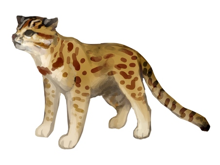 オリジナルグッズ - Npo法人 どうぶつたちの病院 - Conservation&Animal Welfare Trust - ヤマネコイラスト／無料イラストなら「イラストAc」