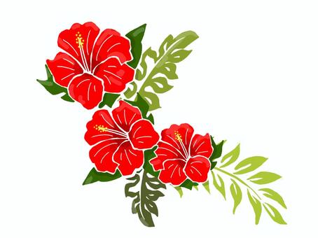 ハイビスカス イラスト素材 - Istock ハイビスカスイラストイラスト／無料イラストなら「イラストAc」
