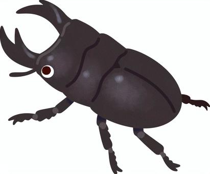 クワガタムシ イラスト素材 [ 560621 ] 無料 - フォトライブラリー Photolibrary オオクワガタイラスト／無料イラストなら「イラストAc」