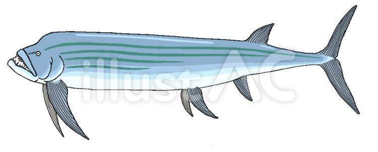 魚類の化石」のブログ記事一覧-テツの部屋Ｂ シファクティヌスイラスト - No: 1127626／無料イラストなら「イラストAc」