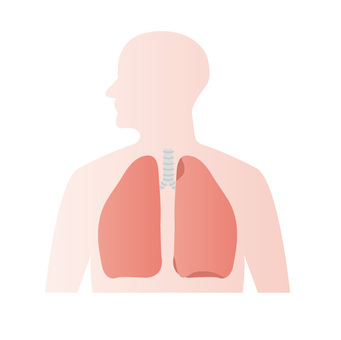 呼吸器」カテゴリのイラスト🎨【フリー素材】｜看護Roo![カンゴルー] 呼吸器イラスト／無料イラストなら「イラストAc」