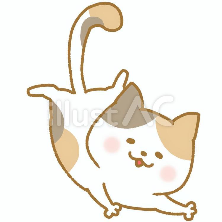 Free Vectors Handstand cat