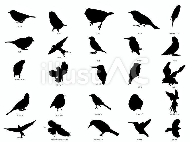 鳥のシルエットのセット のイラスト素材・ベクタ - . Image 15893671. 鳥シルエットセットイラスト - No: 1297824／無料イラストなら「イラストAc」
