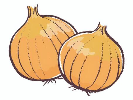 タマネギイラスト 玉ねぎ 新たまねぎイラスト／無料イラストなら「イラストAc」