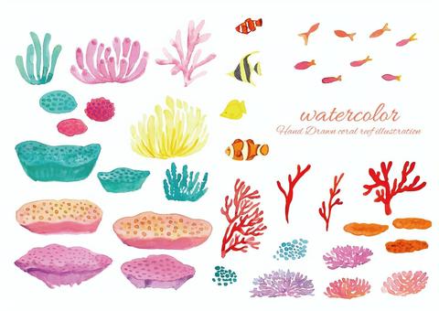 可愛いイラスト無料｜珊瑚（さんご） − Free Illustration Coral |【公式】 イラストダウンロード 珊瑚礁イラスト／無料イラストなら「イラストAc」