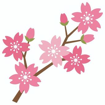 桜並木のイラスト | かわいいフリー素材集 いらすとや 桜の枝イラスト／無料イラストなら「イラストAc」