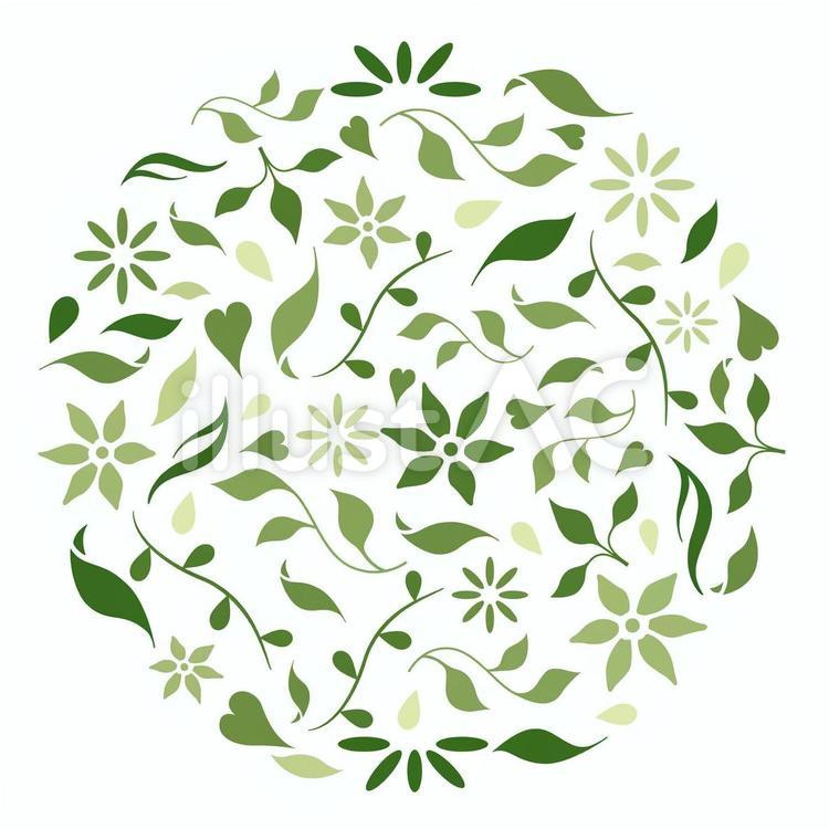 1 ボタニカルイラスト - No: 593305／無料イラストなら「イラストAc」