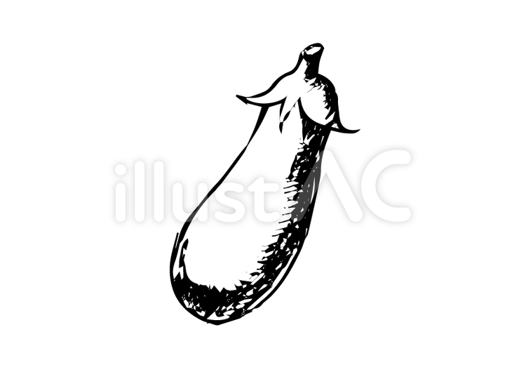 Free Vectors Eggplant line drawing