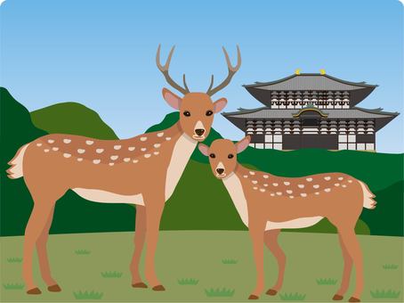 奈良：奈良公園の子鹿 激減 : 読売新聞オンライン 奈良公園イラスト／無料イラストなら「イラストAc」