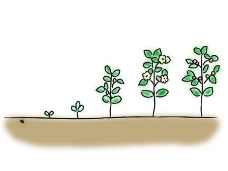 成長を加速させる～4つの成長スタイル～：榊巻亮の『ブレイクスルー備忘録』：オルタナティブ・ブログ 成長イラスト／無料イラストなら「イラストAc」