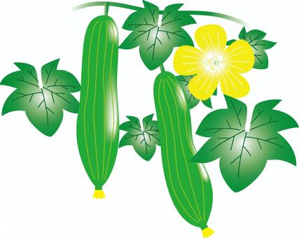 ヘチマ イラスト素材 - Istock へちまイラスト／無料イラストなら「イラストAc」