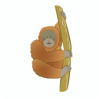 今日は、イラストを描きました。 | 挟壱ののんきなまんが劇場。 オランウータンイラスト／無料イラストなら「イラストAc」