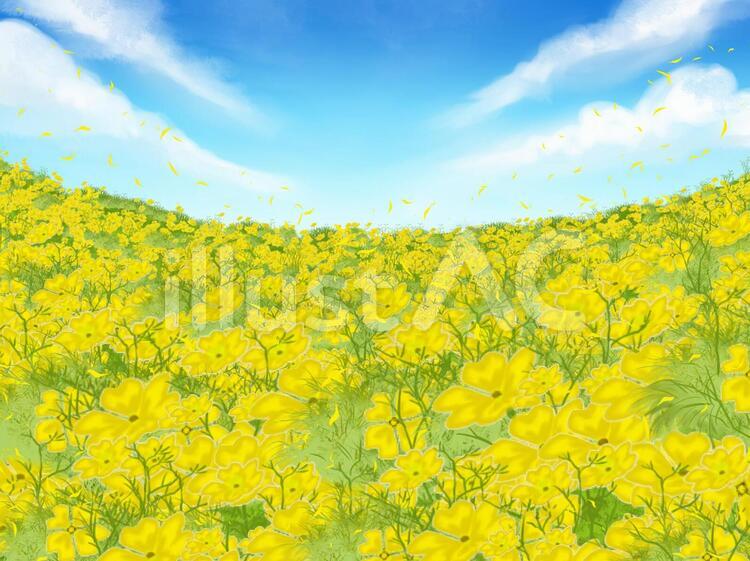 黄色いお花畑イラスト No 356880／無料イラストなら「イラストAC」