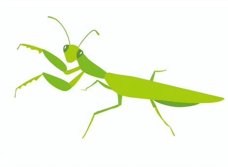 カマキリイラスト - No: 1707610／無料イラストなら「イラストAc」 カマキリイラスト／無料イラストなら「イラストAc」