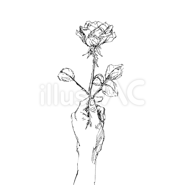 ガーベラの花を持つ少女の手[24018000149]の写真素材・イラスト素材｜アマナイメージズ 手と花イラスト - No: 1094514／無料イラストなら「イラストAc」