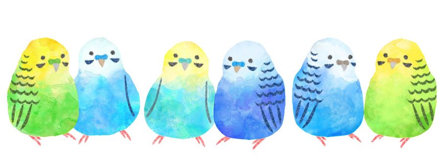 インコのアイコンイラスト｜可愛いフリーアイコン・イラストの無料素材サイト｜フリーペンシル かわいいインコ水彩イラスト／無料イラストなら「イラストAc」