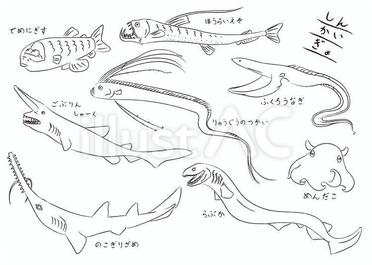 深海 生物 ラブカ イラスト 311649