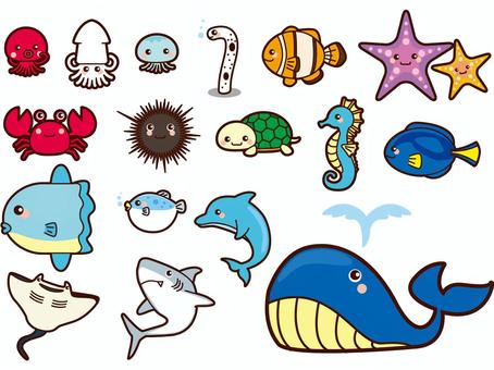 かわいい海の生き物のイラストのイラスト素材 [52280202] - Pixta 海の生き物イラスト／無料イラストなら「イラストAc」