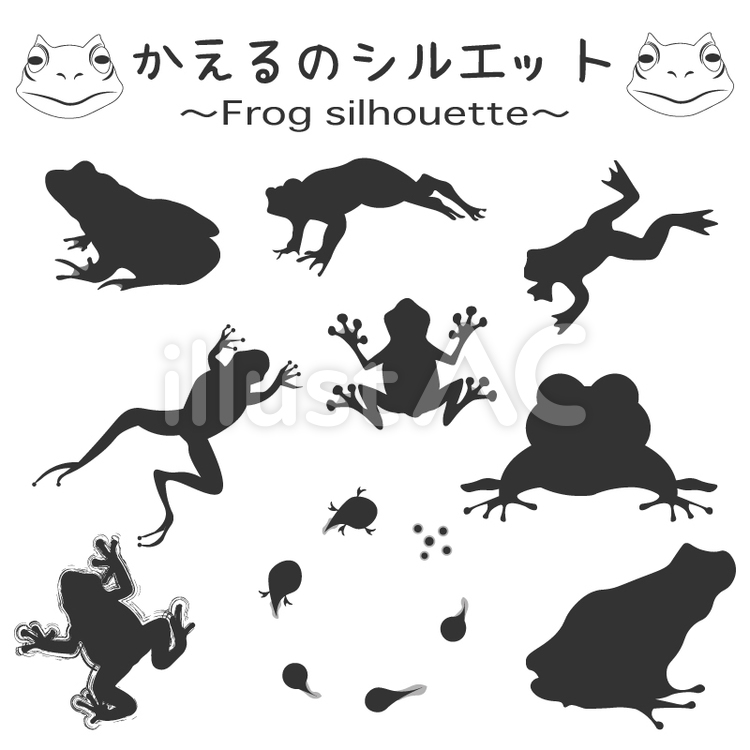 カエル シルエット 両生類 - Pixabayの無料ベクター素材 カエルのシルエットイラスト - No: 994894／無料イラストなら「イラストAc」