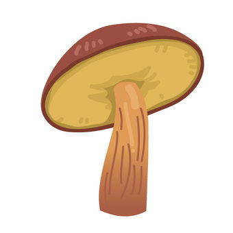 きのこの山Vsたけのこの里特集 きのこの山イラスト／無料イラストなら「イラストAc」