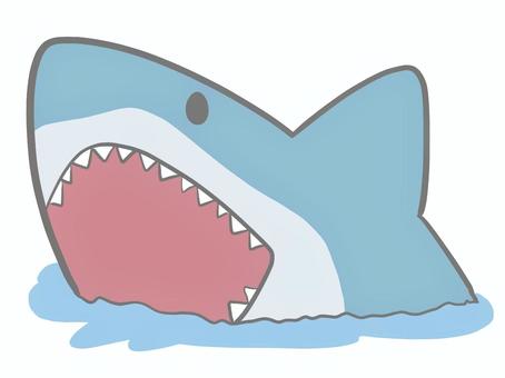サメの全身イラスト 横のイラスト素材 [60132901] - Pixta 可愛いサメイラスト／無料イラストなら「イラストAc」