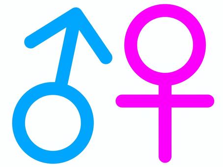 性別記号 オスとメスのアイコンのイラスト素材 [167254350] - イメージマート 雄記号イラスト／無料イラストなら「イラストAc」